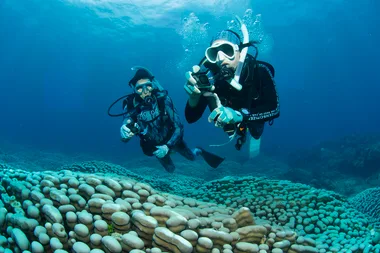 A mother-daughter divers made a record-breaking discovery in the Great Barrier Reef