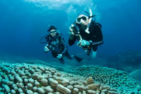A mother-daughter divers made a record-breaking discovery in the Great Barrier Reef