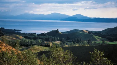 Over half of New Zealand’s conservation land was under attack