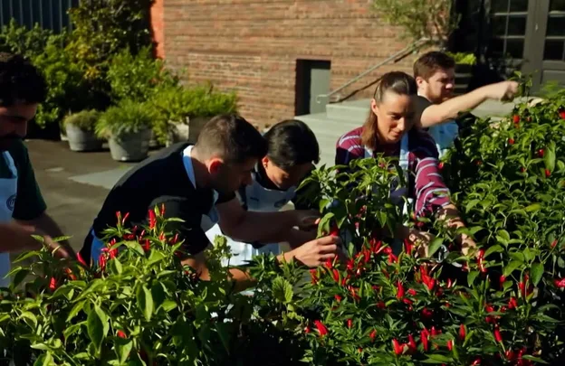 Last night on MasterChef: A spice challenge heats up the kitchen