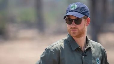 Prince Harry steps down from wildlife charity board after human rights violations