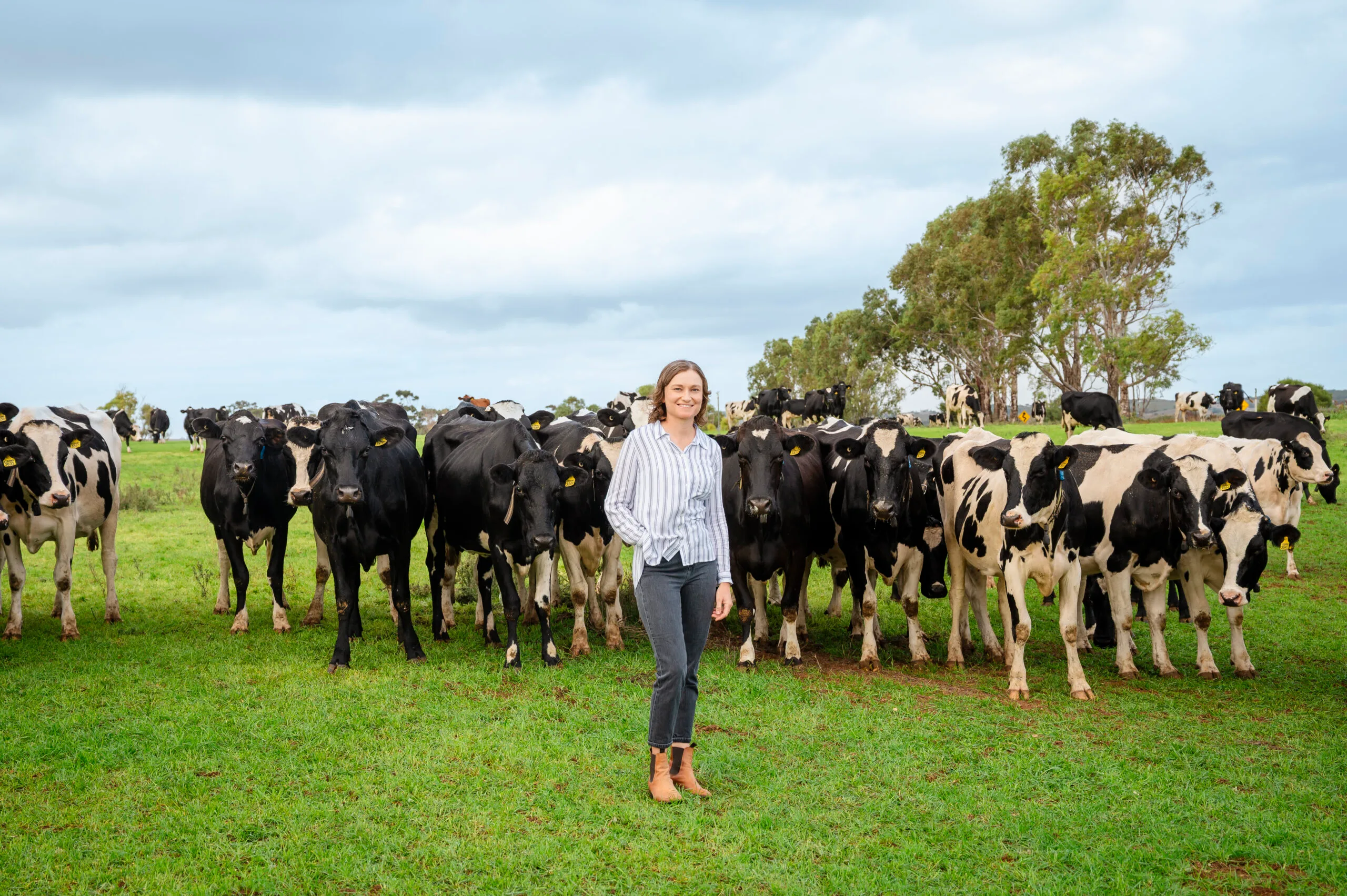 Narelle wears jeans and a striped shirt and stands in a green paddock with dairy cows.