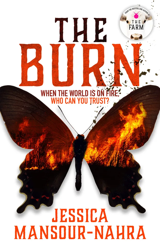 The burn book by Jessica Mansour-Naher