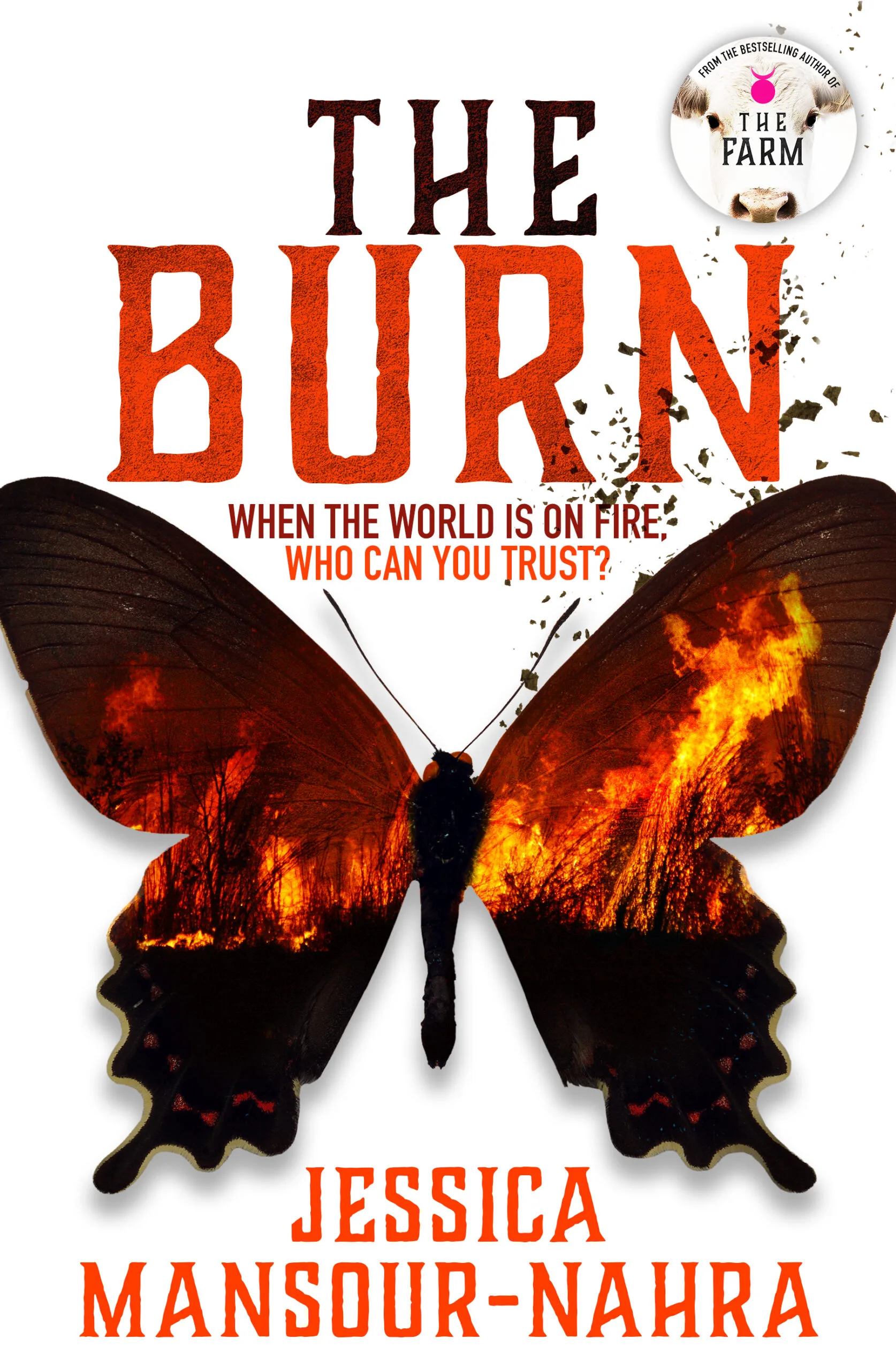 The burn book by Jessica Mansour-Naher