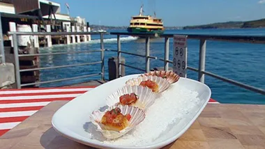 Barbecue seared scallops with sauce vierge