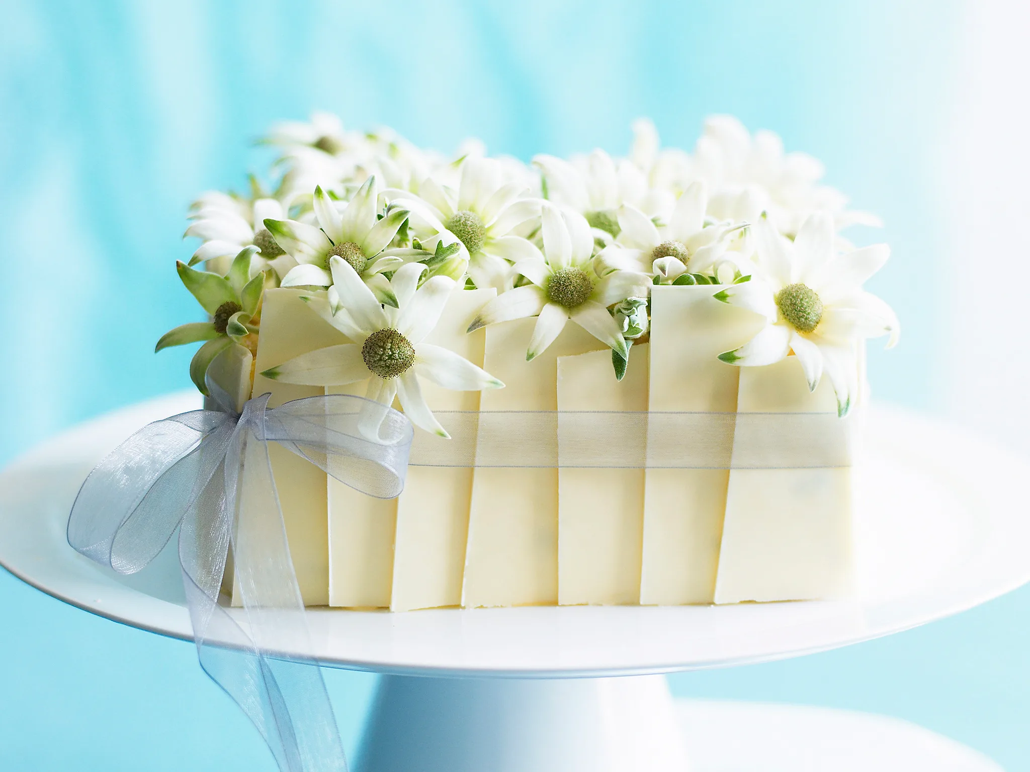 celebration passionfruit sponge