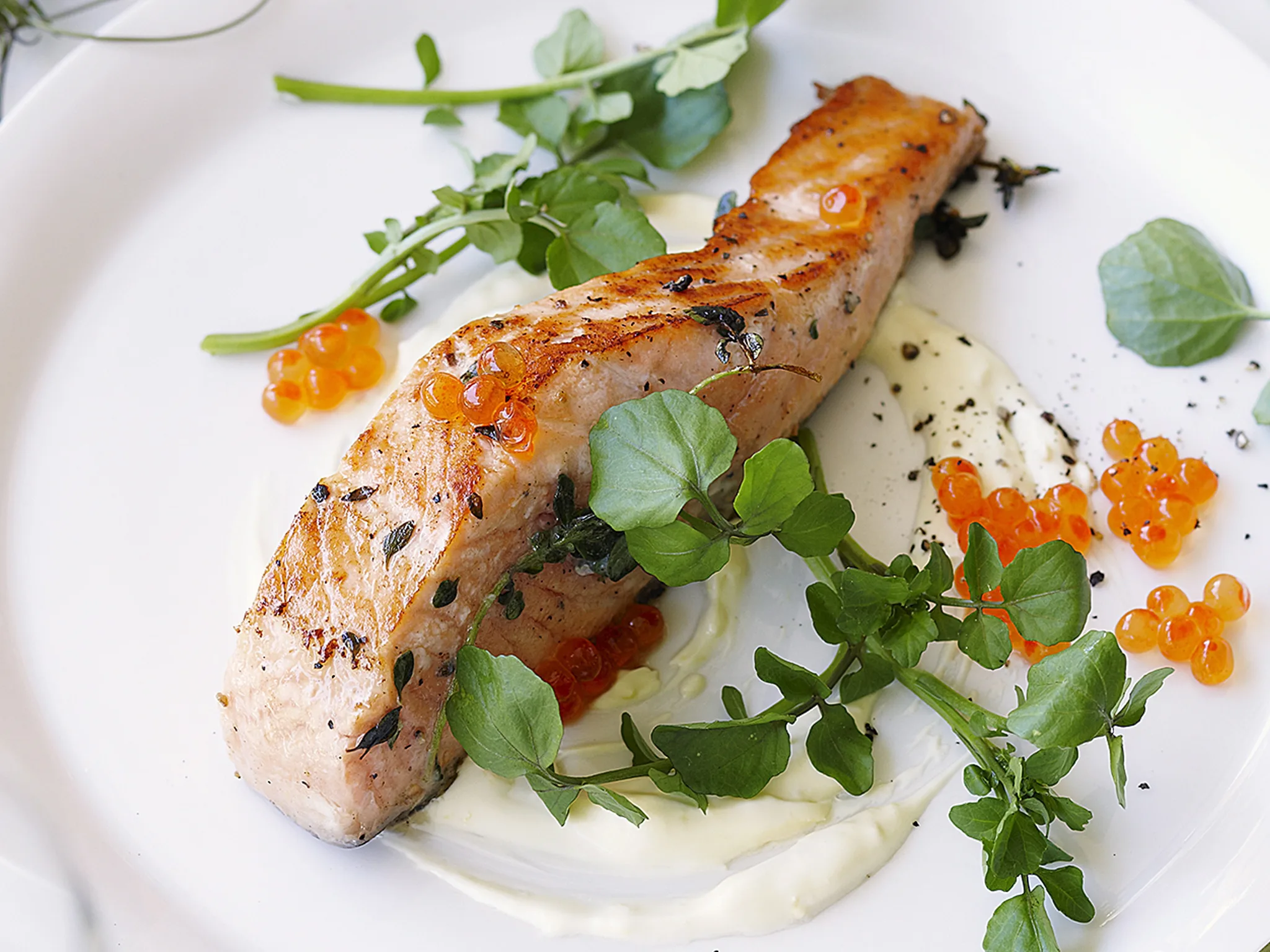 Seared salmon with lemon creme fraiche