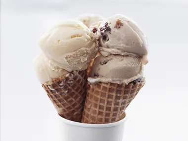 Low-fat Vanilla Ice-cream