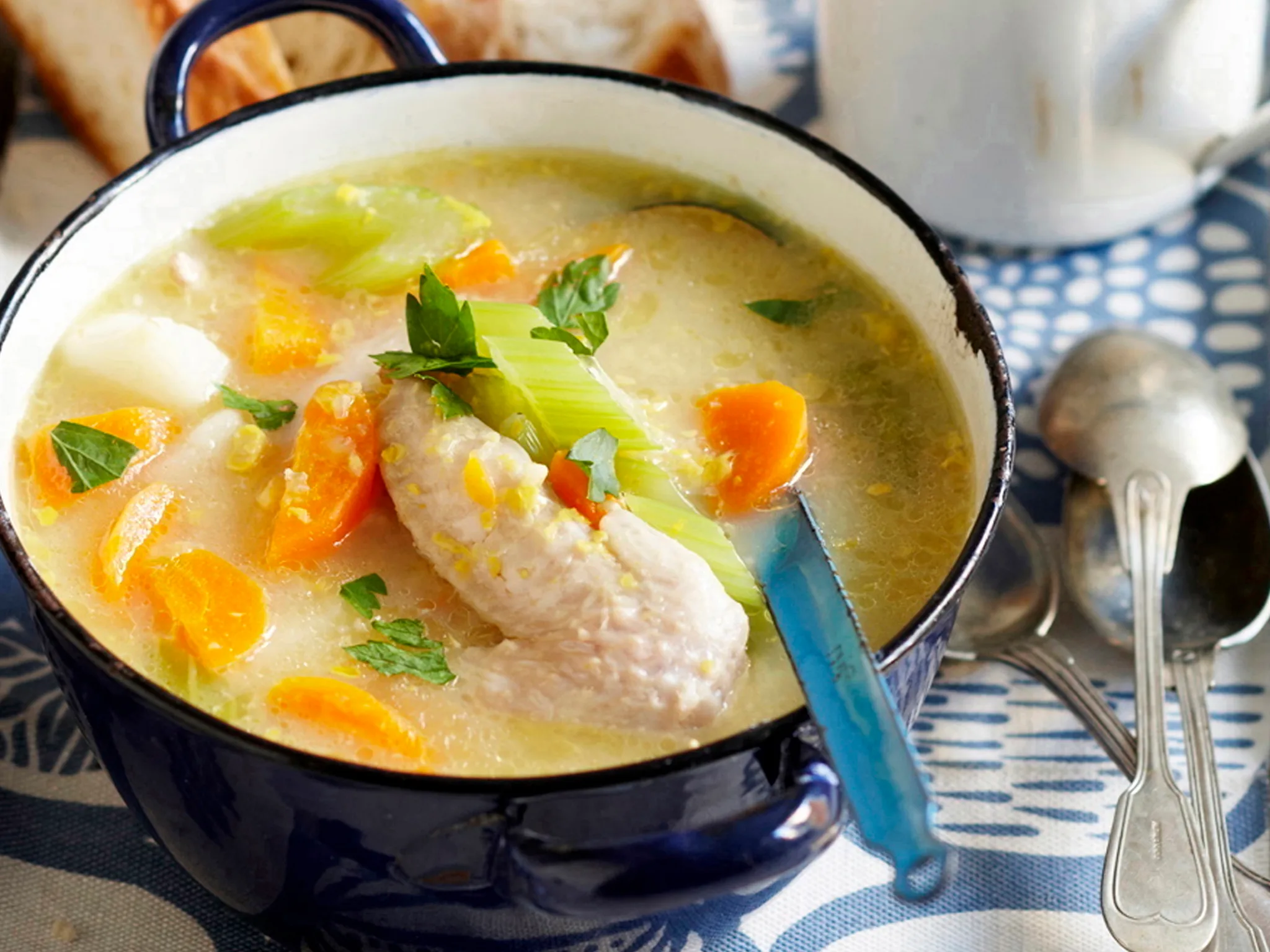 Quick chicken and vegetable soup