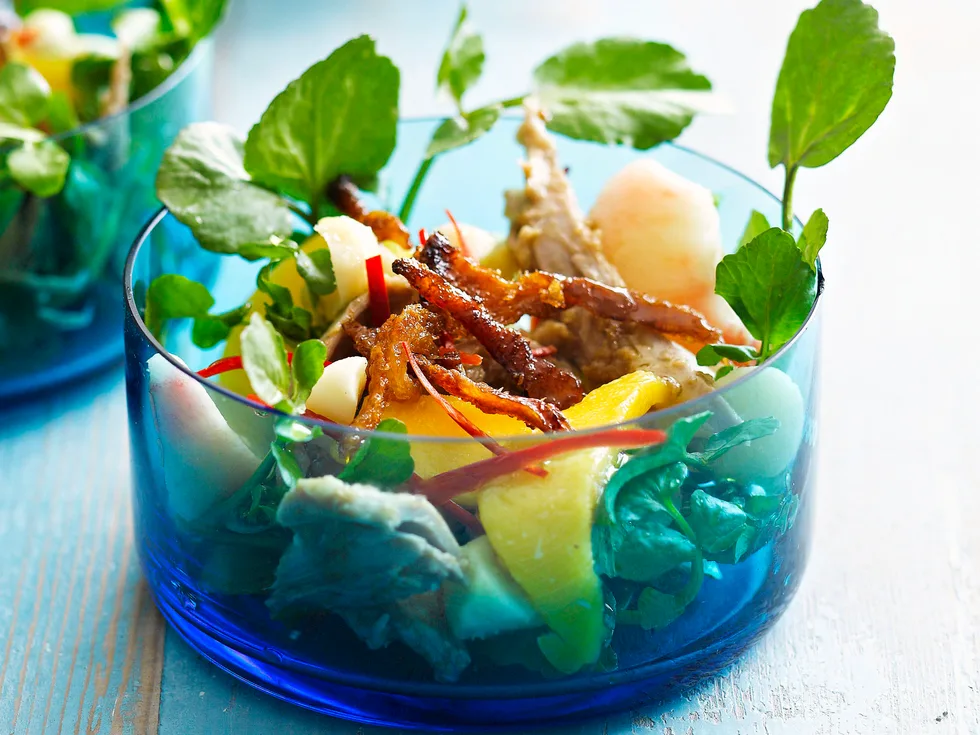 Duck and mango salad