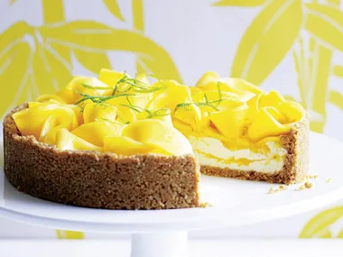 MANGO LIME CHEESECAKE