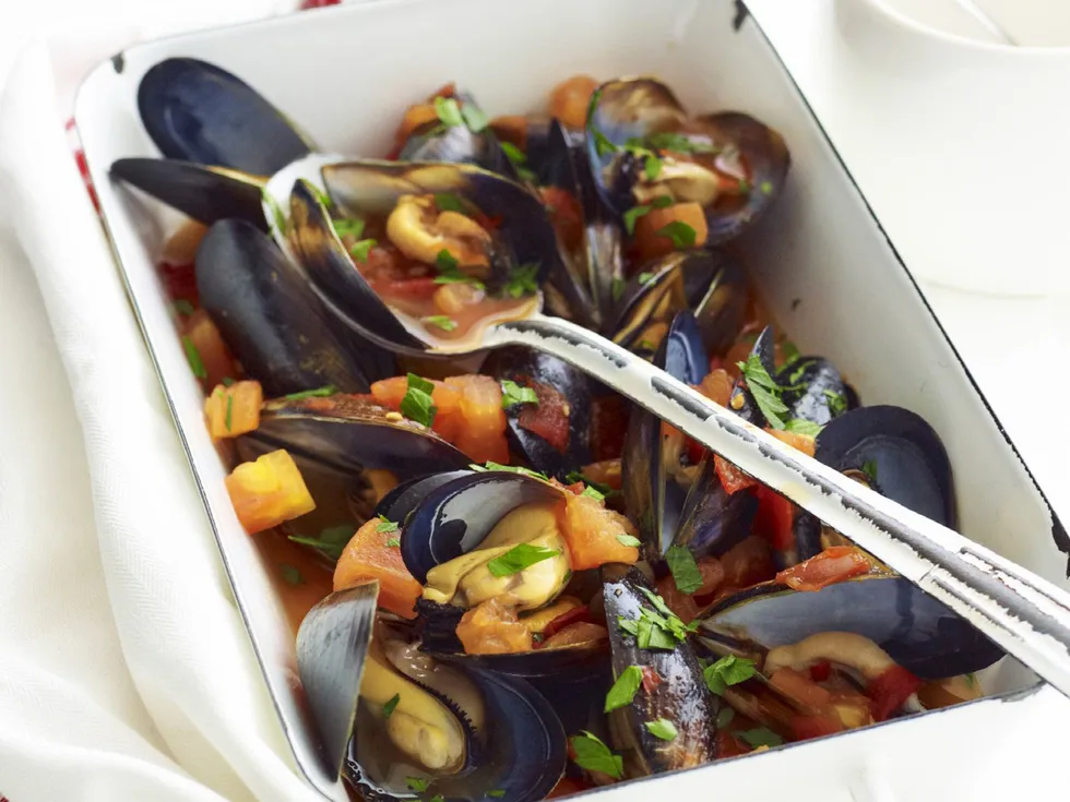 belgian mussels