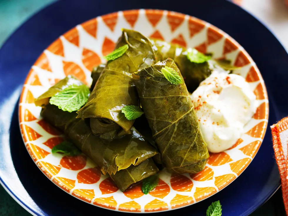 brown rice and pine nut stuffed vine leaves