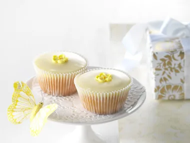 daisy glaze