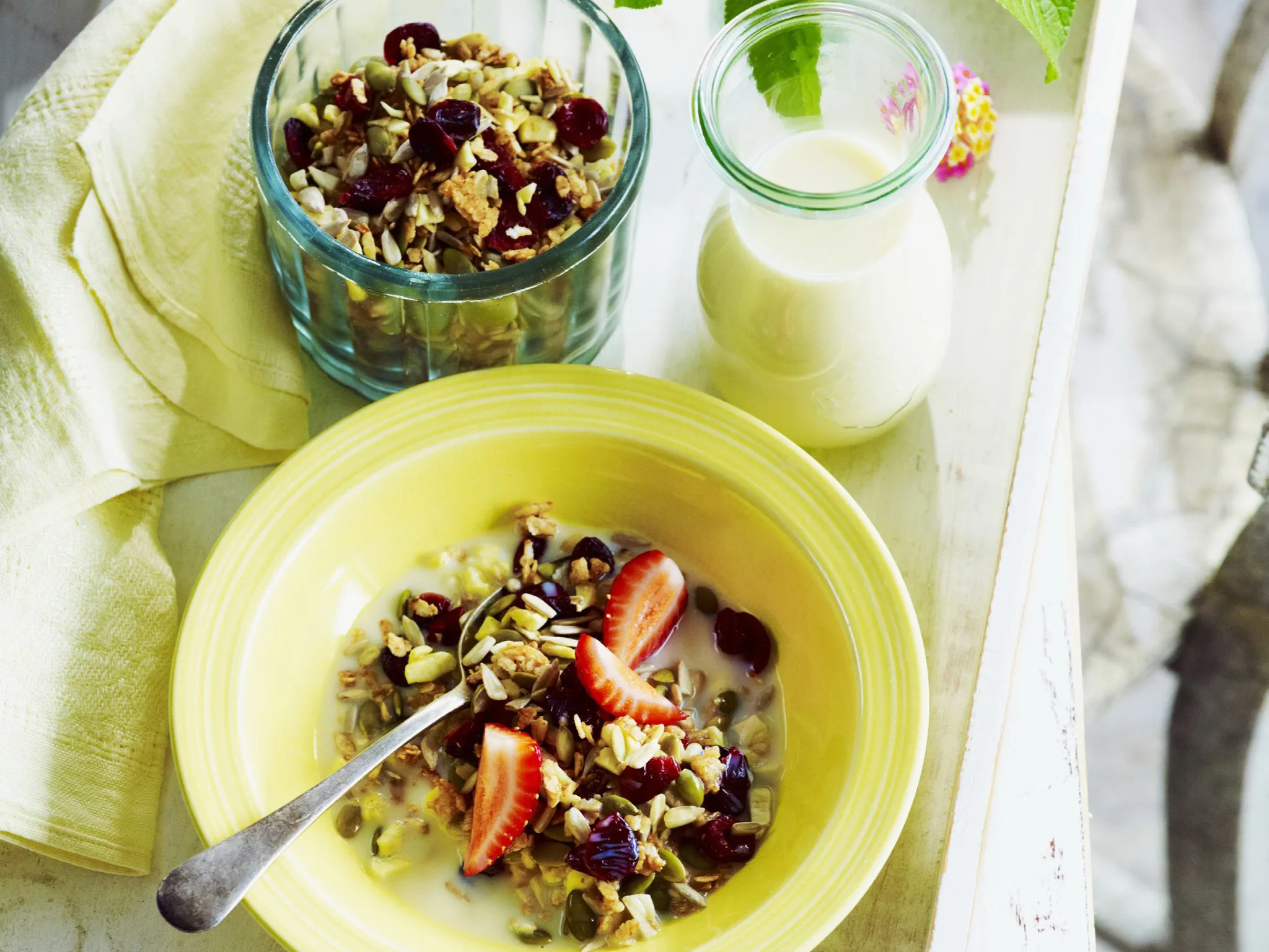 dried apple and cranberry granola
