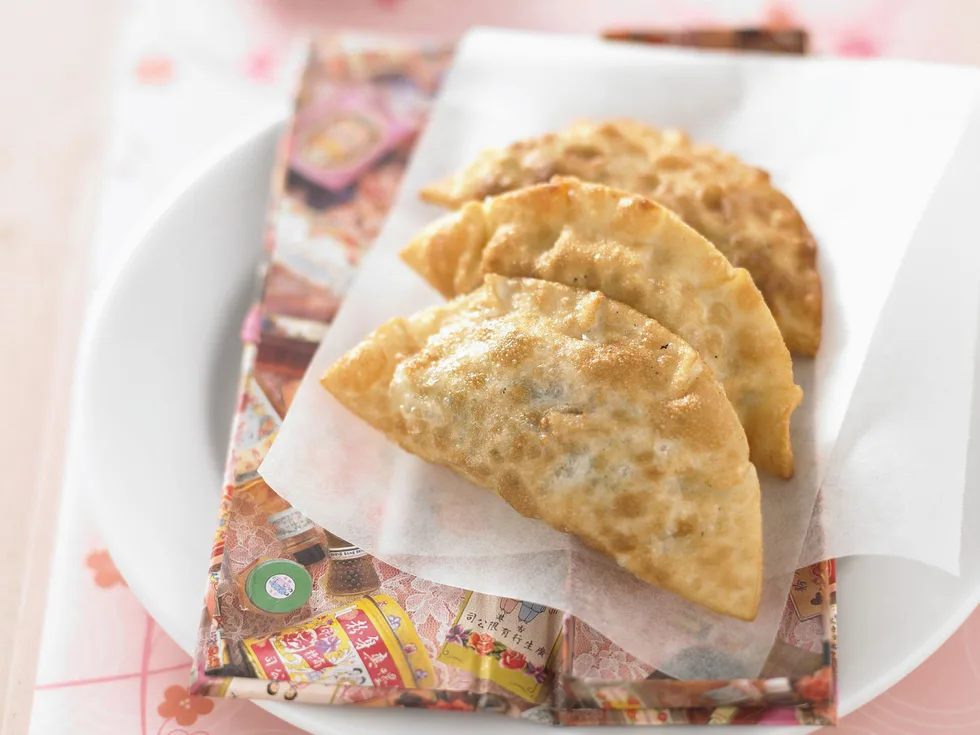 duck and green onion gyoza