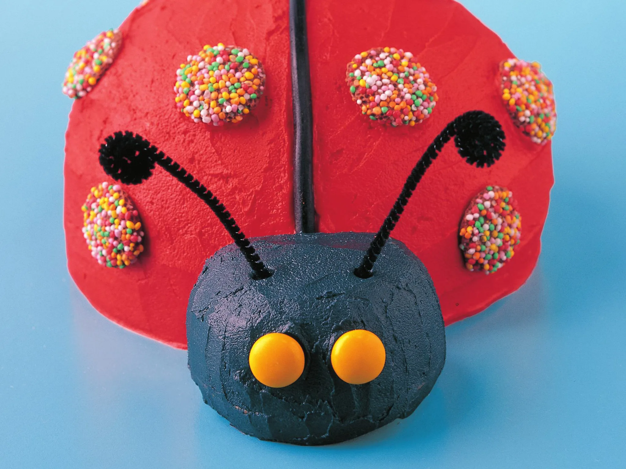 Lazy ladybird