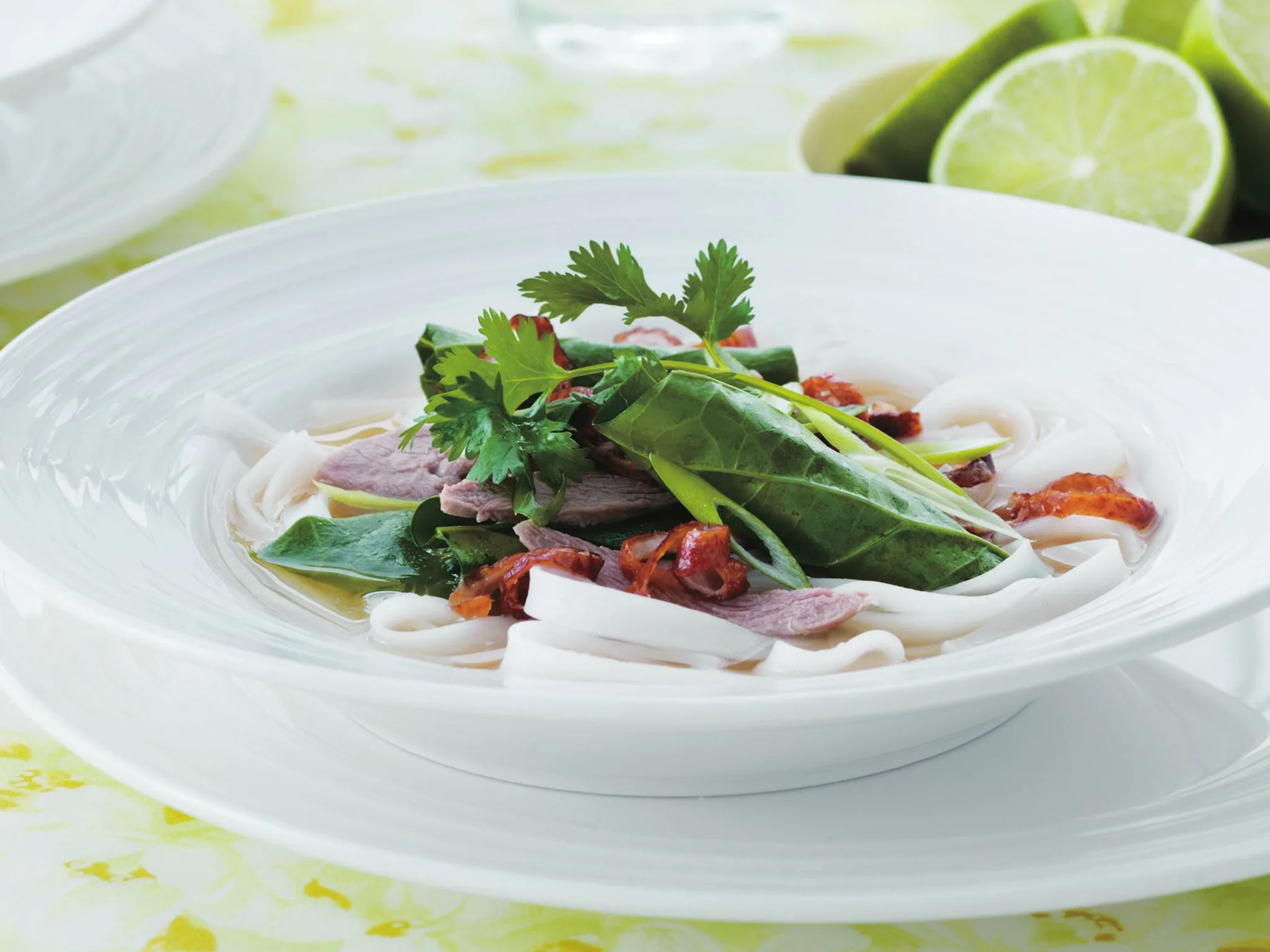 duck broth with noodles