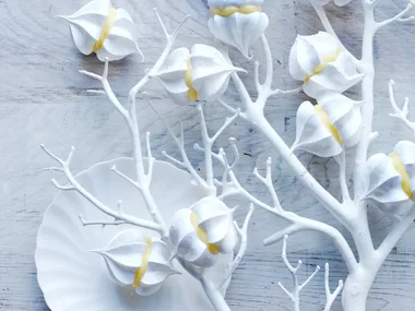 Lemon MERINGUE KISSES
