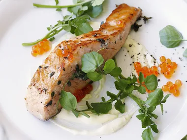 seared salmon with lemon crème fraîche