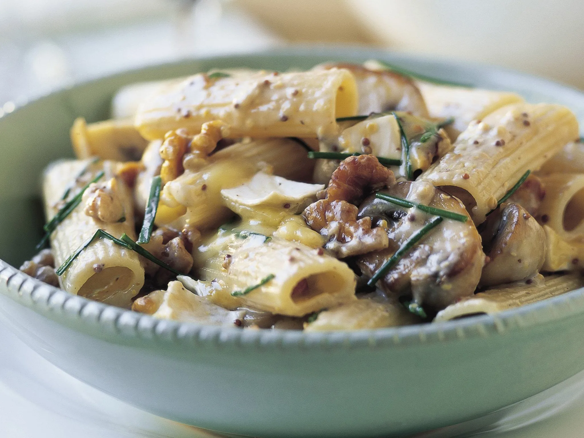 Rigatoni with brie, walnut and mushroom sauce