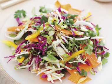 Pan-fried tofu with vietnamese coleslaw salad