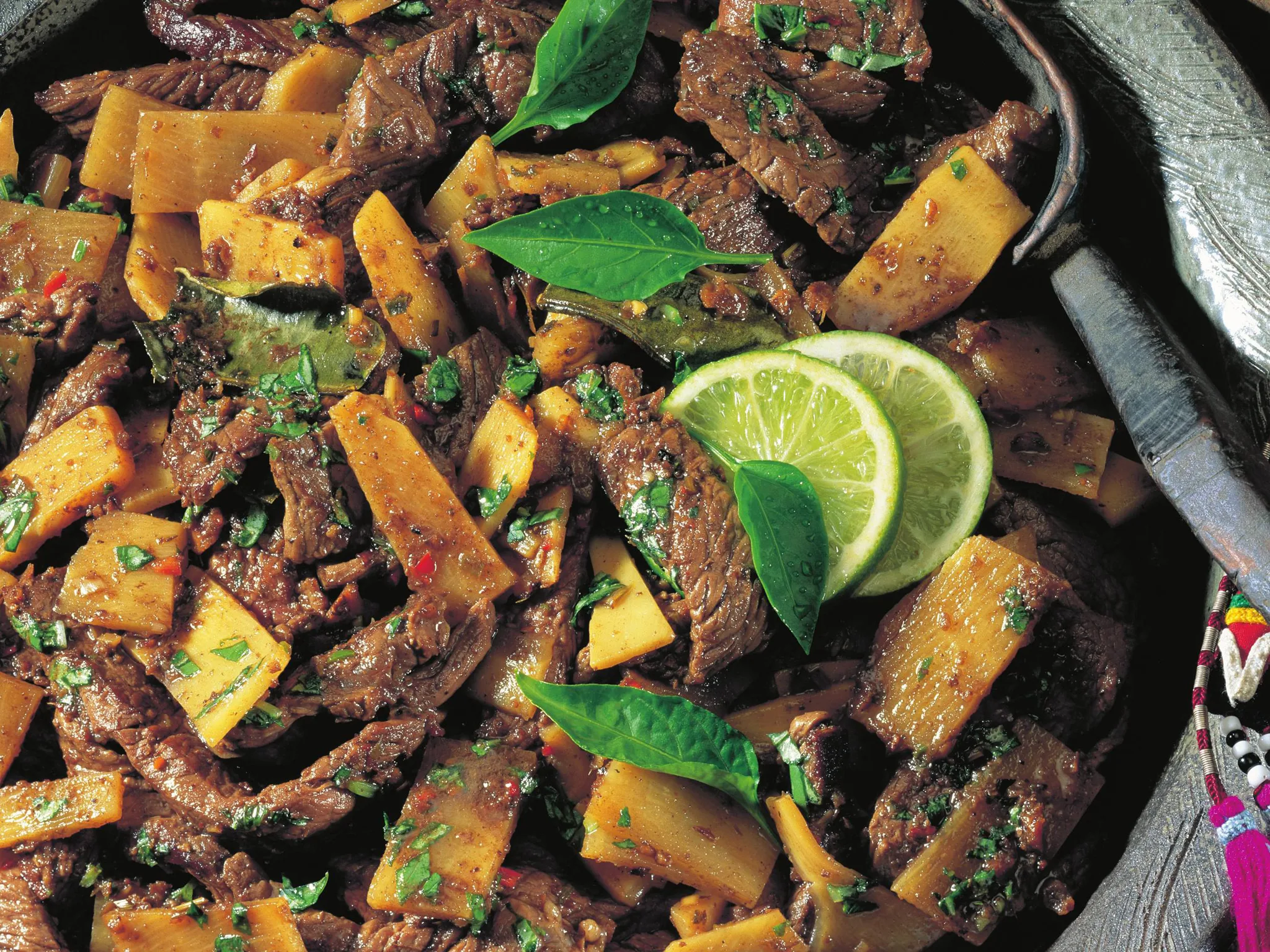 beef curry with bamboo shoots