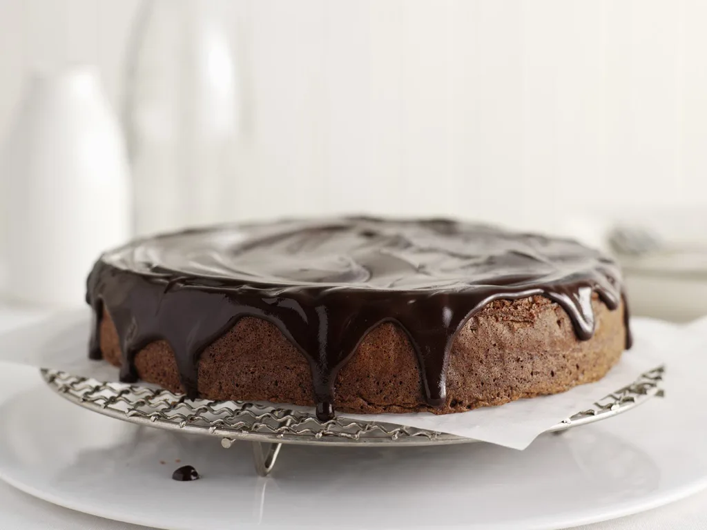 Chocolate and pecan torte