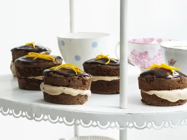 jaffa sponges
