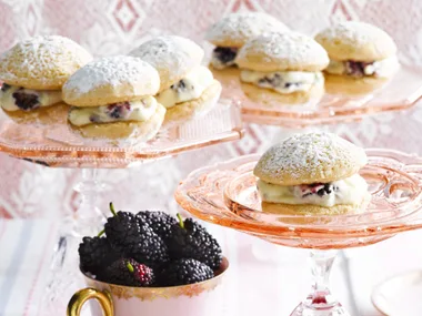 mulberry powder puffs