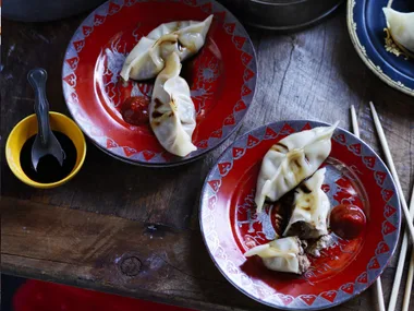 SHIITAKE MUSHROOM and pork soup dumplings