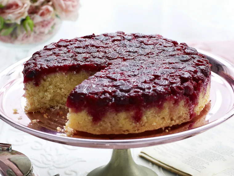 raspberry, coconut and lime cake