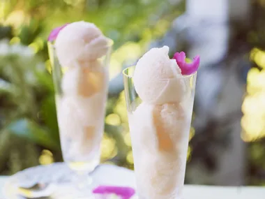 PINK GRAPEFRUIT AND ROSEWATER SORBET