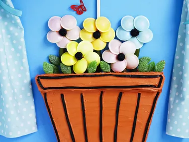 PLanter  Box