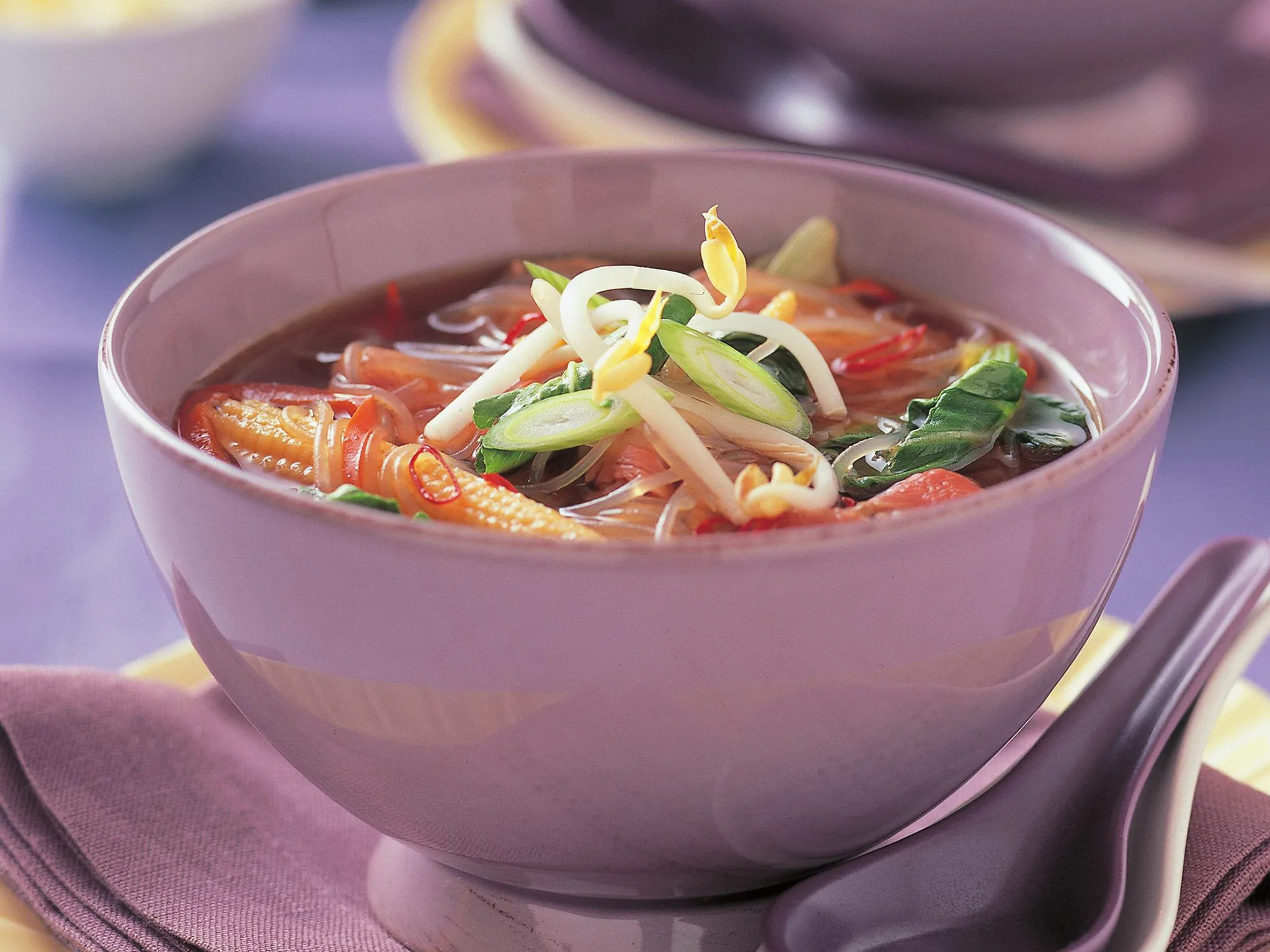 BEEF IN ASIAN BROTH