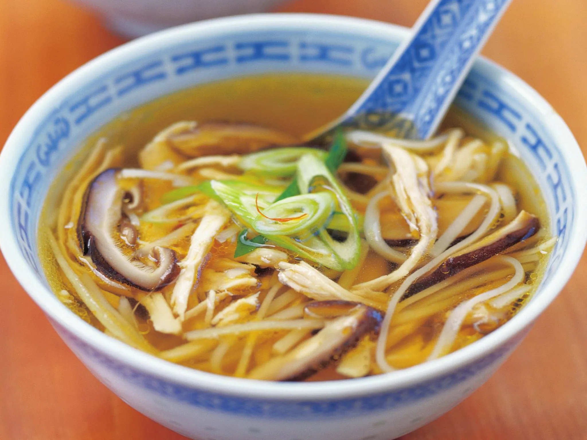 hot and sour soup