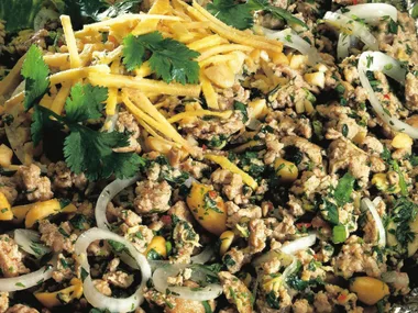 minced pork salad with ginger and mint (larb)