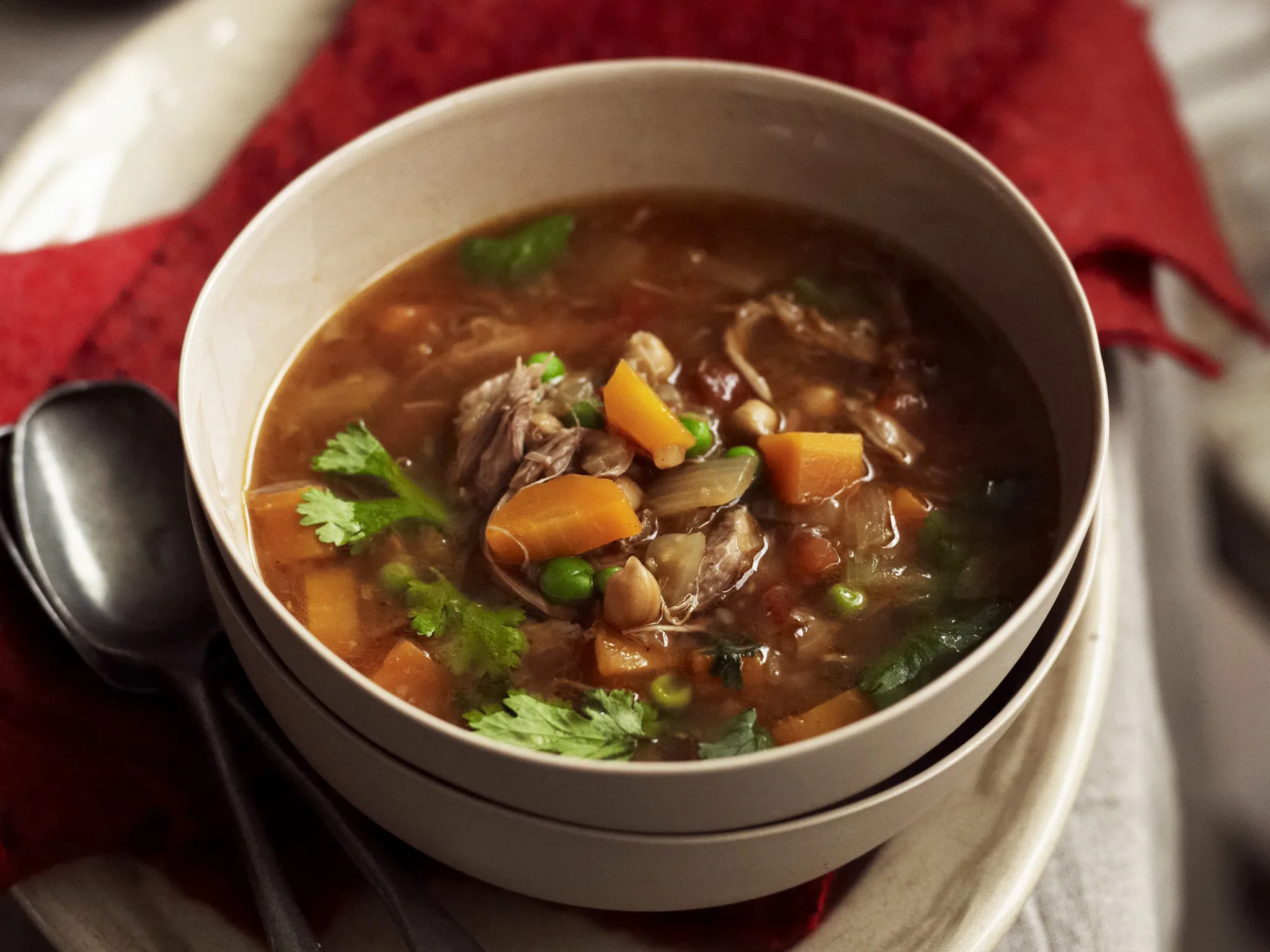 Lamb shank, fennel and vegetable soup-image