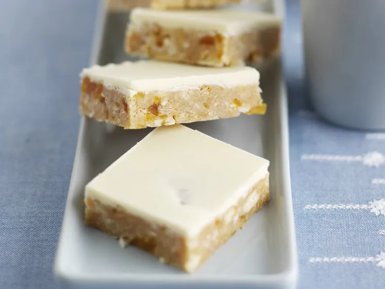 apricot and coconut slice