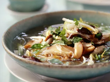 chicken noodle soup