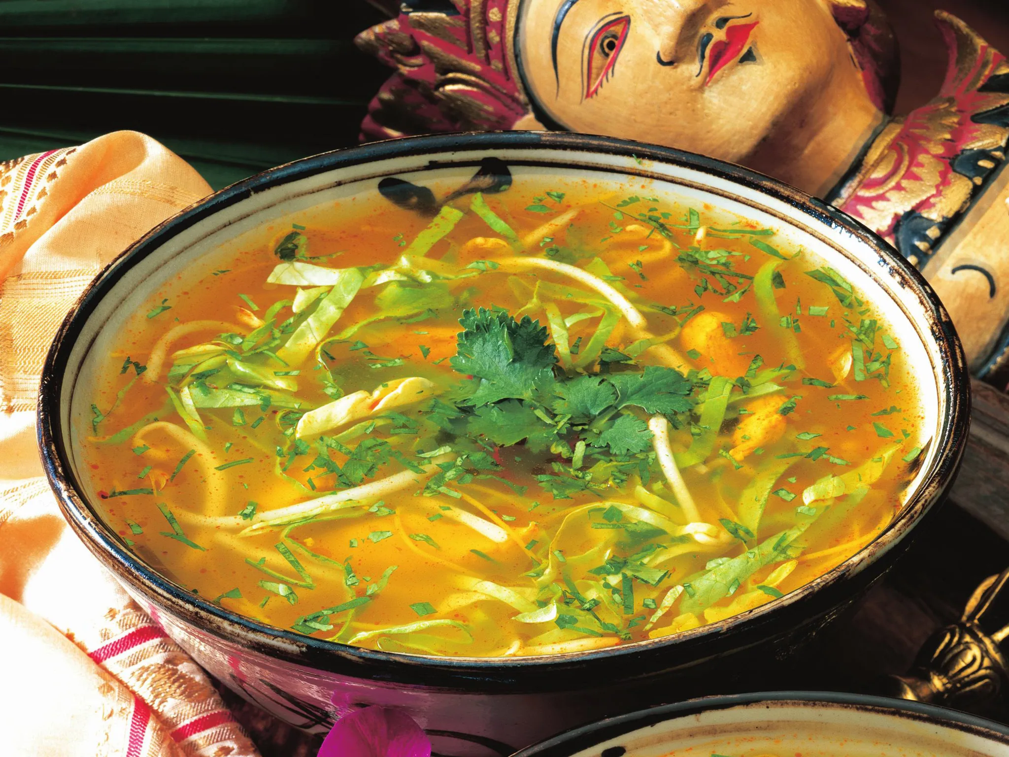 chicken and noodle soup