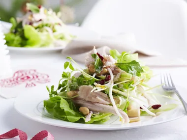 TURKEY, CRANBERRY and Peanut Salad