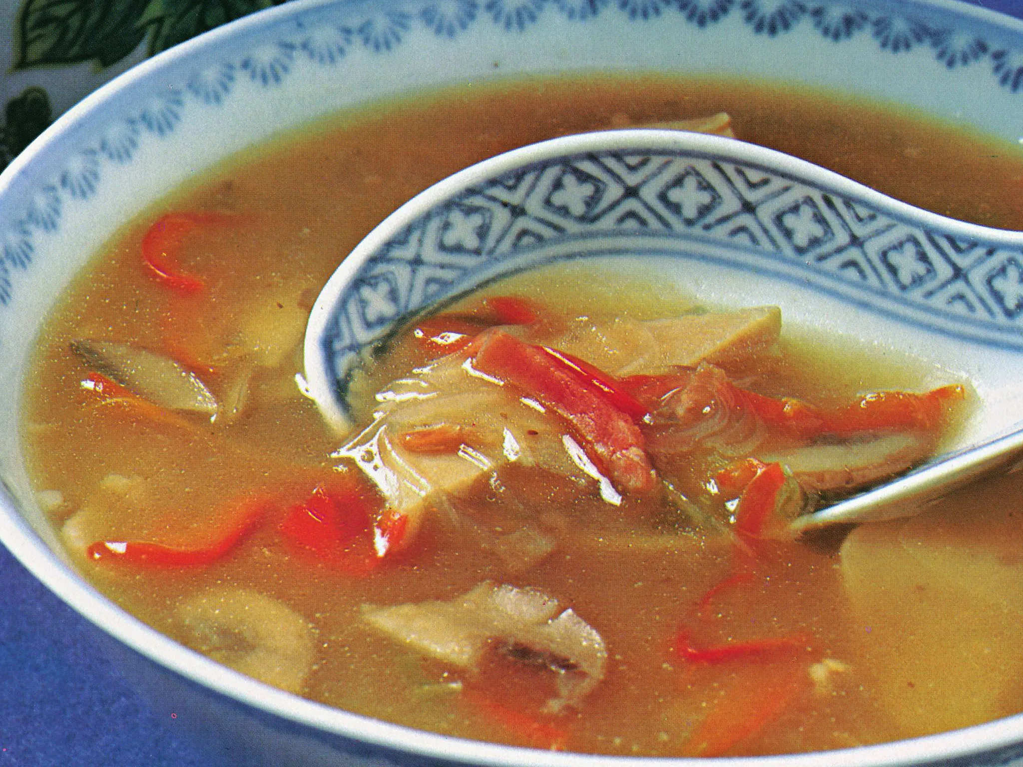 Abalone Soup