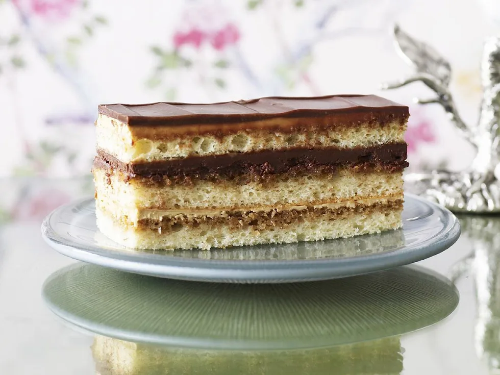 opera gateau