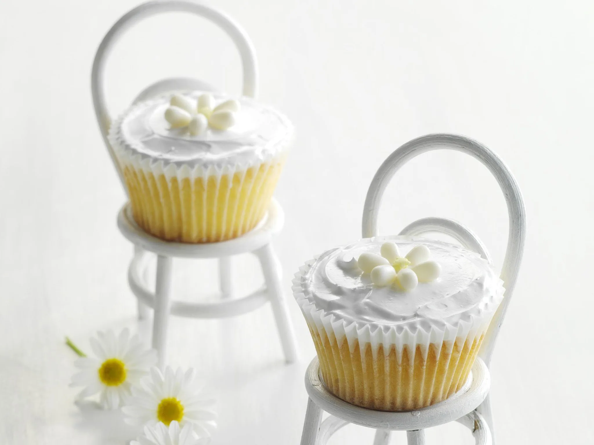 daisy mints