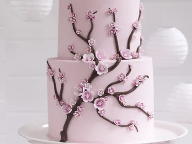 cherry blossoms in Spring
