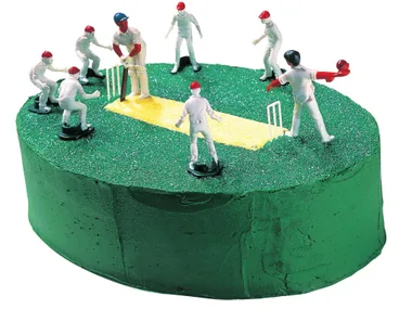 Cricket Pitch Cake.