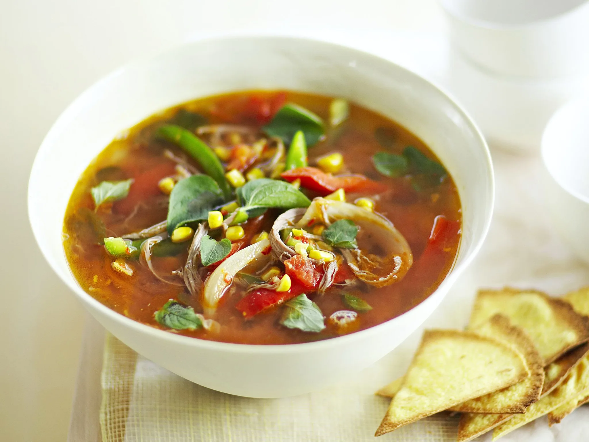 mexican shredded beef soup