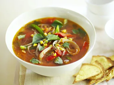 mexican shredded beef soup