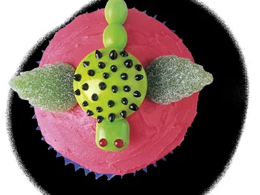 tiny turtle